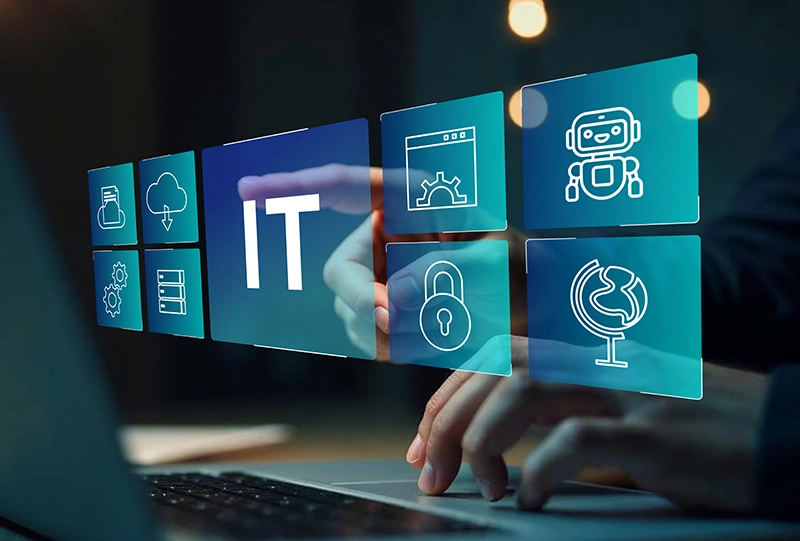 IT / IT Service
